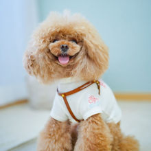 画像をギャラリービューアに読み込む, ハーネス(キャメル)