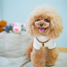 画像をギャラリービューアに読み込む, ハーネス(キャメル)