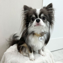 画像をギャラリービューアに読み込む, 組み編みカラー(グレージュ)