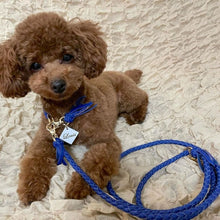 画像をギャラリービューアに読み込む, 組み編みリード(ラベンダー)