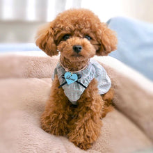 画像をギャラリービューアに読み込む, ネームチャーム(水色)