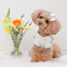 画像をギャラリービューアに読み込む, 組み編みカラー(マロン)