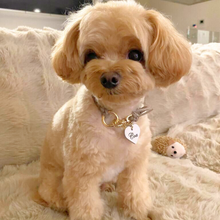 画像をギャラリービューアに読み込む, 組み編みカラー(グレージュ)