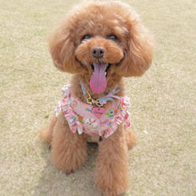 画像をギャラリービューアに読み込む, 組み編みカラー:2色コンビ