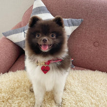 画像をギャラリービューアに読み込む, 組み編みカラー(赤)