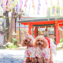 画像をギャラリービューアに読み込む, 組み編みリード(フューシャピンク)