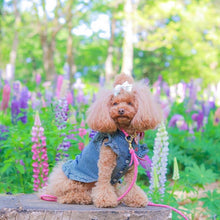 画像をギャラリービューアに読み込む, 組み編みリード(フューシャピンク)