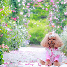 画像をギャラリービューアに読み込む, 組み編みリード(フューシャピンク)