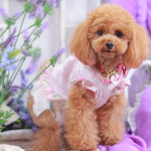 画像をギャラリービューアに読み込む, 組み編みカラー(フューシャピンク)