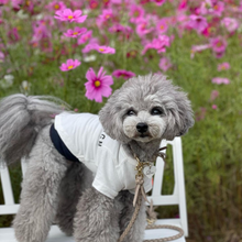 画像をギャラリービューアに読み込む, 組み編みカラー(グレージュ)