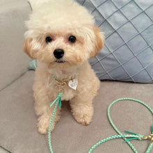 画像をギャラリービューアに読み込む, 組み編みリード(ミントグリーン)