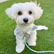 画像をギャラリービューアに読み込む, 組み編みリード(ミントグリーン)