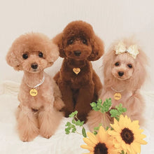 画像をギャラリービューアに読み込む, ネームチャーム(黄色)