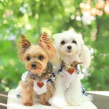 画像をギャラリービューアに読み込む, ネームチャーム(キャメル)