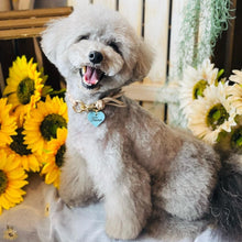 画像をギャラリービューアに読み込む, ネームチャーム(水色)