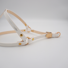 画像をギャラリービューアに読み込む, ハーネス(白)