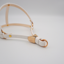 画像をギャラリービューアに読み込む, ハーネス(白)