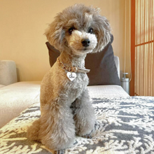 画像をギャラリービューアに読み込む, 組み編みカラー(グレージュ)