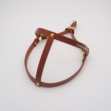 画像をギャラリービューアに読み込む, ハーネス(キャメル)