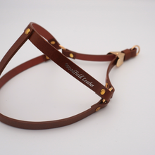 画像をギャラリービューアに読み込む, ハーネス(キャメル)