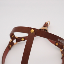 画像をギャラリービューアに読み込む, ハーネス(キャメル)