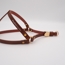 画像をギャラリービューアに読み込む, ハーネス(キャメル)