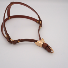 画像をギャラリービューアに読み込む, ハーネス(キャメル)