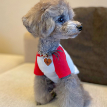 画像をギャラリービューアに読み込む, 組み編みカラー(グレー)