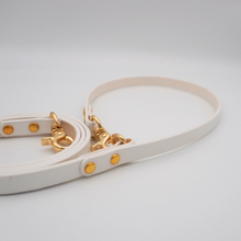 画像をギャラリービューアに読み込む, 平革リード(白)