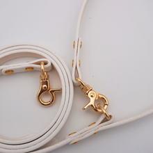 画像をギャラリービューアに読み込む, 平革リード(白)