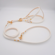 画像をギャラリービューアに読み込む, 平革リード(白)