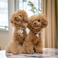 画像をギャラリービューアに読み込む, 組み編みカラー(ベージュ)