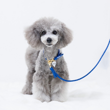 画像をギャラリービューアに読み込む, 組み編みカラー(ロイヤルブルー)