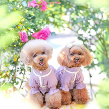 画像をギャラリービューアに読み込む, ハーネス(白)