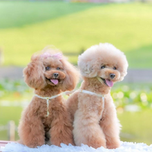 画像をギャラリービューアに読み込む, ハーネス(白)