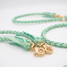 画像をギャラリービューアに読み込む, 2頭引きリード _type2