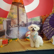 画像をギャラリービューアに読み込む, 組み編みカラー(水色)