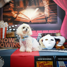 画像をギャラリービューアに読み込む, 組み編みカラー(水色)