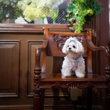 画像をギャラリービューアに読み込む, 組み編みカラー(水色)