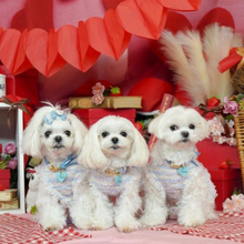 画像をギャラリービューアに読み込む, 組み編みカラー(水色)