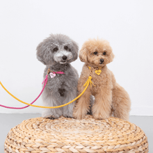 画像をギャラリービューアに読み込む, 組み編みリード(フューシャピンク)