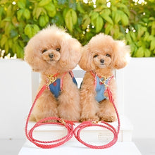 画像をギャラリービューアに読み込む, 組み編みリード(赤)