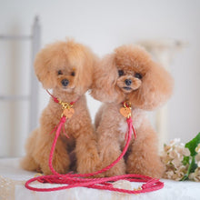 画像をギャラリービューアに読み込む, 組み編みリード(赤)