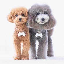 画像をギャラリービューアに読み込む, リボン(白)