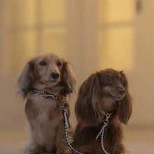 画像をギャラリービューアに読み込む, 組み編みリード:2色コンビ