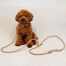 画像をギャラリービューアに読み込む, ショルダーリード