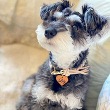 画像をギャラリービューアに読み込む, 組み編みカラー(ヌメ)