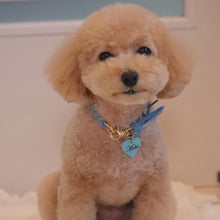 画像をギャラリービューアに読み込む, 組み編みカラー(水色)