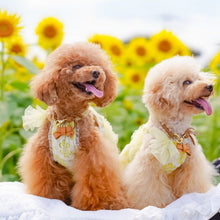 画像をギャラリービューアに読み込む, リボン(キャメル)