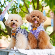 画像をギャラリービューアに読み込む, リボン(キャメル)